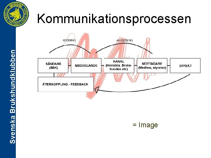 Svenska Brukshundklubben Kommunikationsprocessen = Image 