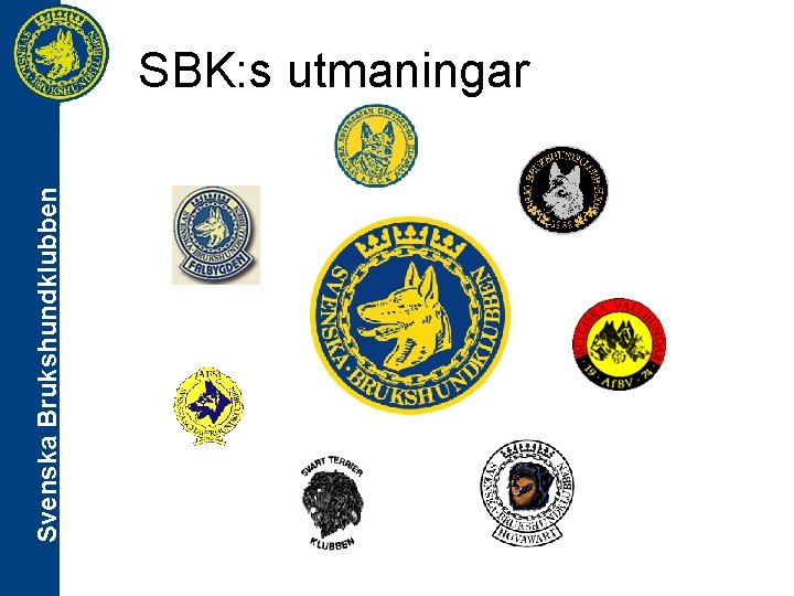 Svenska Brukshundklubben SBK: s utmaningar 