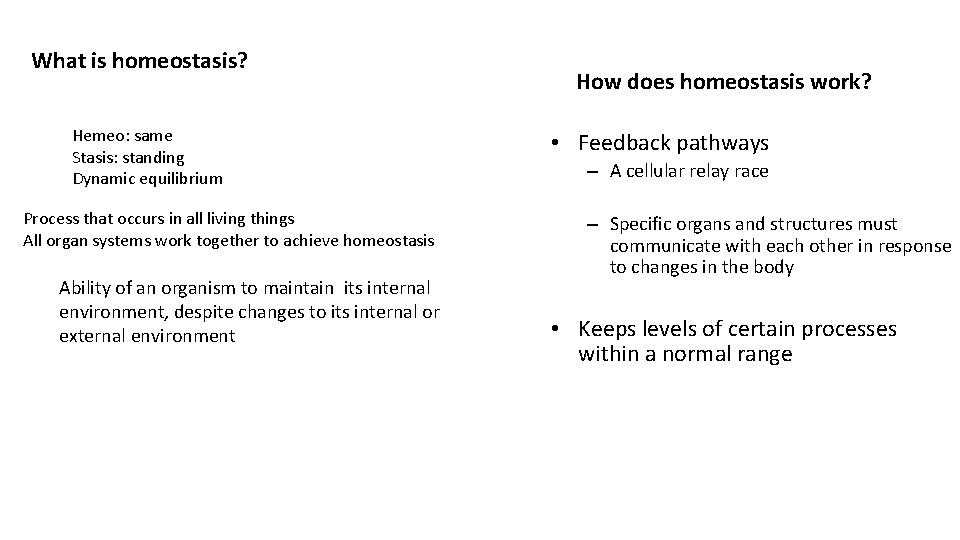 What is homeostasis? Hemeo: same Stasis: standing Dynamic equilibrium Process that occurs in all