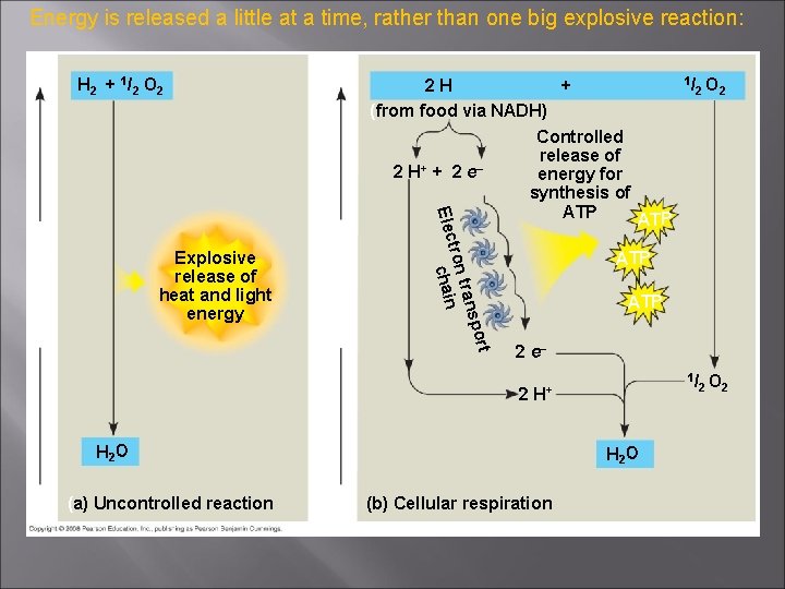 Energy is released a little at a time, rather than one big explosive reaction: