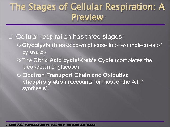 The Stages of Cellular Respiration: A Preview Cellular respiration has three stages: Glycolysis (breaks