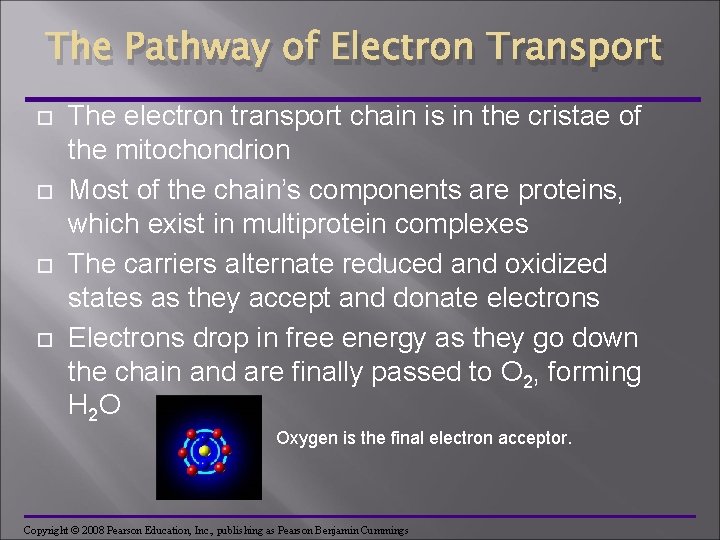 The Pathway of Electron Transport The electron transport chain is in the cristae of