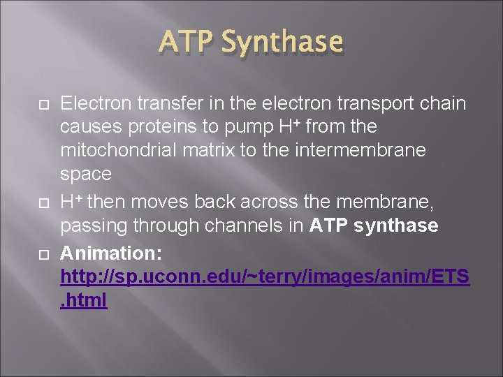 ATP Synthase Electron transfer in the electron transport chain causes proteins to pump H+