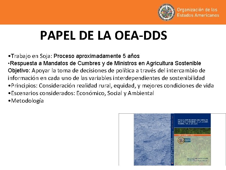 PAPEL DE LA OEA-DDS • Trabajo en Soja: Proceso aproximadamente 5 años • Respuesta