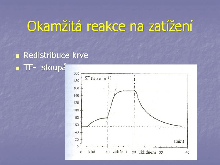 Okamžitá reakce na zatížení n n Redistribuce krve TF- stoupá 