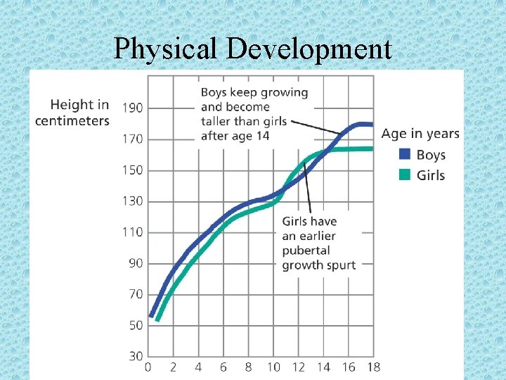 Physical Development 