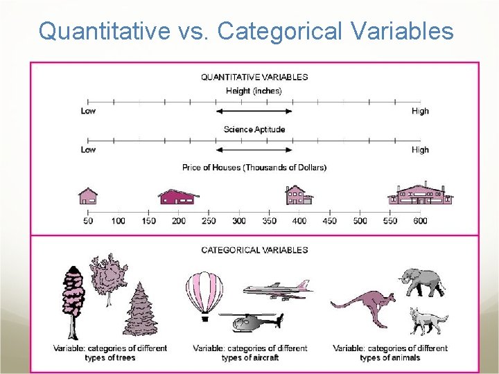 Quantitative vs. Categorical Variables 