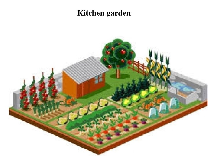 Kitchen garden 