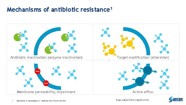 Mechanisms of antibiotic resistance 1 Antibiotic inactivation (enzyme inactivation) Target modification (alteration) Membrane permeability