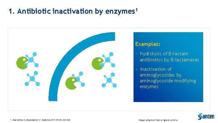 1. Antibiotic inactivation by enzymes 1 Examples: - hydrolysis of β-lactam antibiotics by β-lactamases