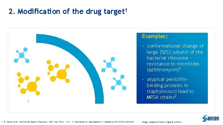 2. Modification of the drug target 1 Examples: - conformational change of large (50