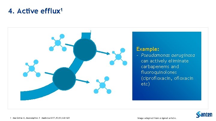 4. Active efflux 1 Example: - Pseudomonas aeruginosa can actively eliminate carbapenems and fluoroquinolones