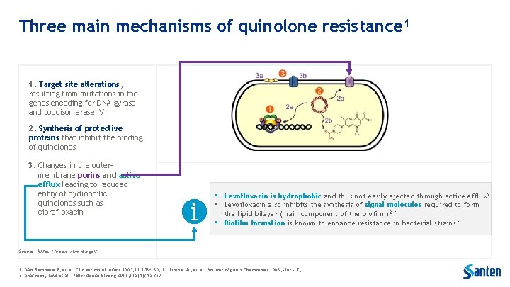 Three main mechanisms of quinolone resistance 1 1. Target site alterations, resulting from mutations