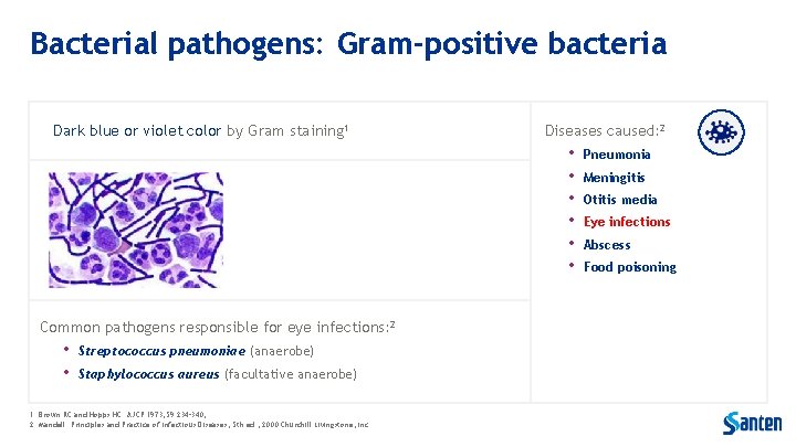 Bacterial pathogens: Gram-positive bacteria Dark blue or violet color by Gram staining 1 Diseases