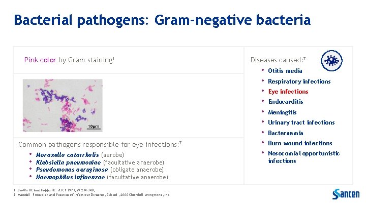 Bacterial pathogens: Gram-negative bacteria Pink color by Gram staining 1 Common pathogens responsible for