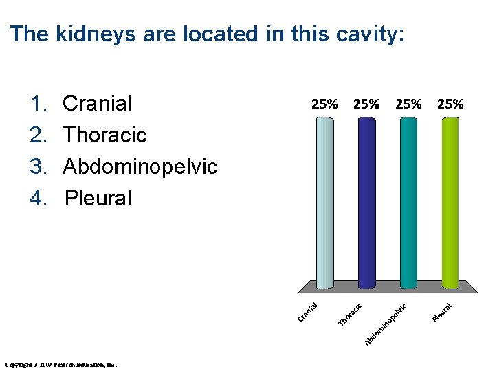 The kidneys are located in this cavity: 1. 2. 3. 4. Cranial Thoracic Abdominopelvic