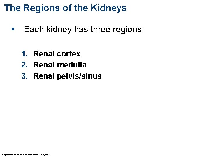 The Regions of the Kidneys § Each kidney has three regions: 1. Renal cortex