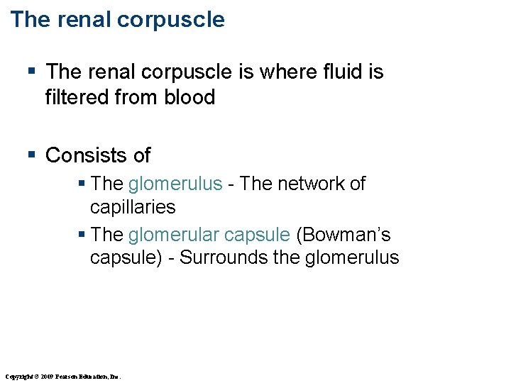 The renal corpuscle § The renal corpuscle is where fluid is filtered from blood