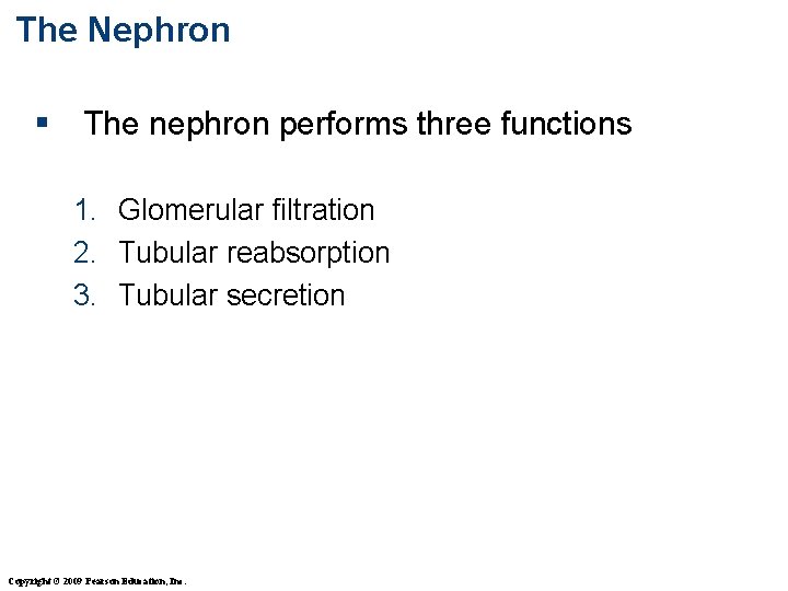 The Nephron § The nephron performs three functions 1. Glomerular filtration 2. Tubular reabsorption