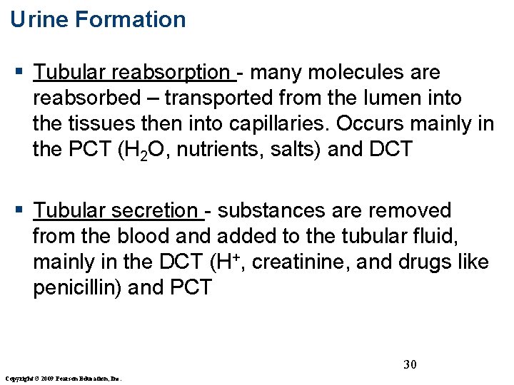 Urine Formation § Tubular reabsorption - many molecules are reabsorbed – transported from the
