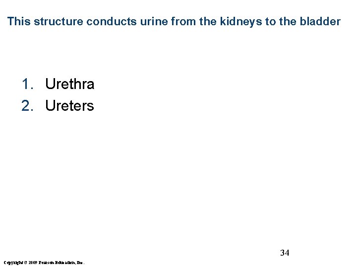 This structure conducts urine from the kidneys to the bladder 1. Urethra 2. Ureters