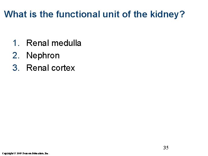 What is the functional unit of the kidney? 1. Renal medulla 2. Nephron 3.