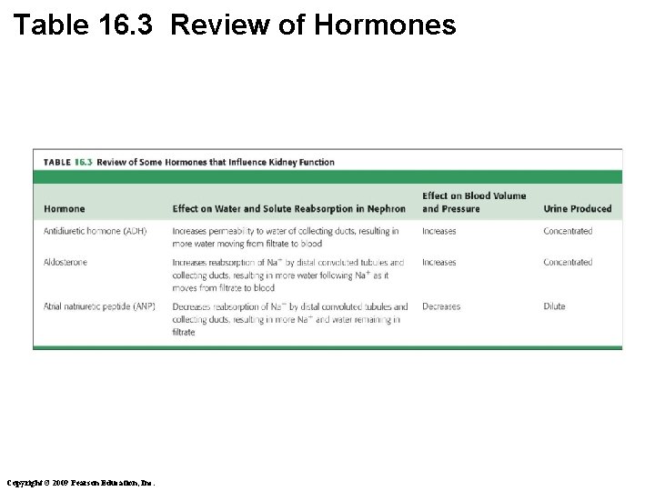 Table 16. 3 Review of Hormones Copyright © 2009 Pearson Education, Inc. 