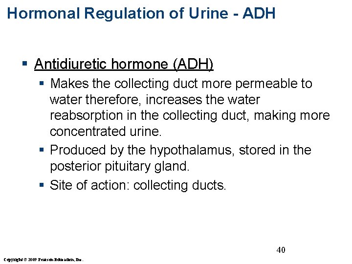 Hormonal Regulation of Urine - ADH § Antidiuretic hormone (ADH) § Makes the collecting