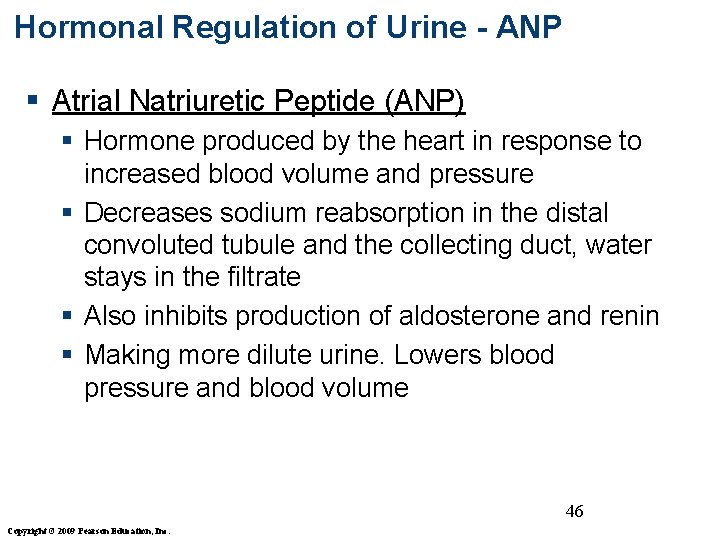 Hormonal Regulation of Urine - ANP § Atrial Natriuretic Peptide (ANP) § Hormone produced