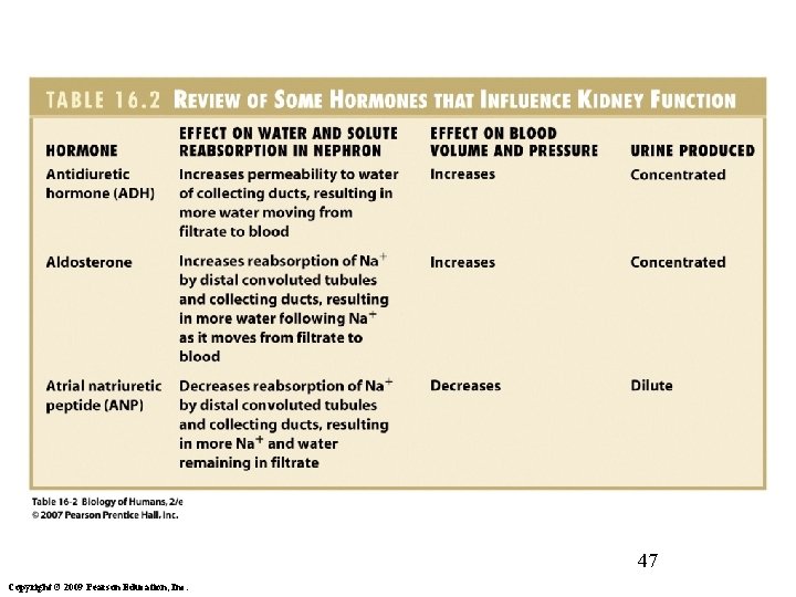 47 Copyright © 2009 Pearson Education, Inc. 