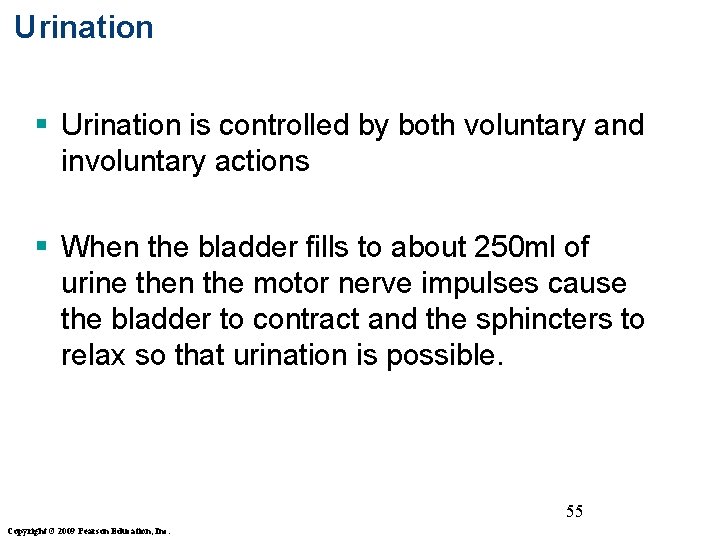 Urination § Urination is controlled by both voluntary and involuntary actions § When the