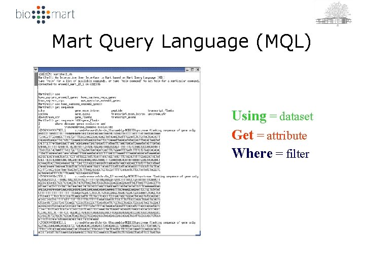 Mart Query Language (MQL) Using = dataset Get = attribute Where = filter 