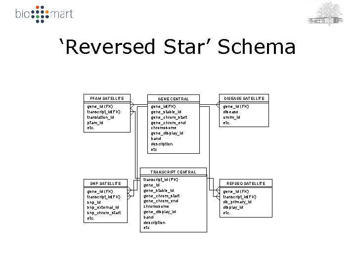 ‘Reversed Star’ Schema PFAM SATELLITE gene_id (FK) transcript_id(FK) translation_id pfam_id etc. GENE CENTRAL gene_id(PK)