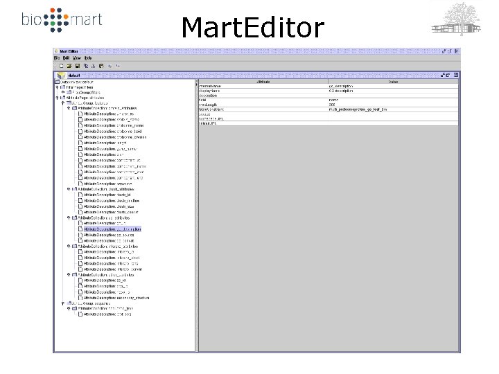 Mart. Editor 