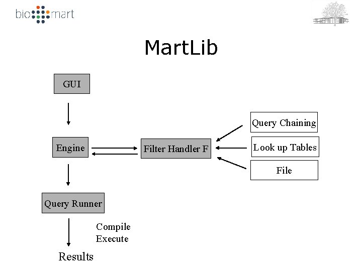 Mart. Lib GUI Query Chaining Engine Filter Handler F Look up Tables File Query