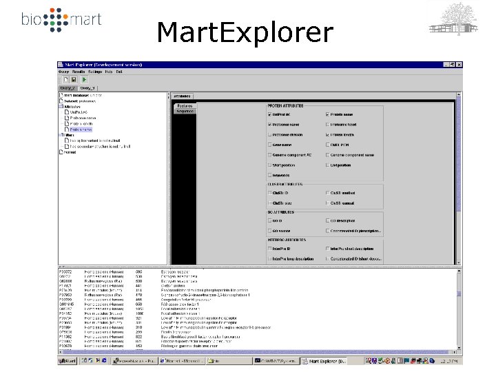 Mart. Explorer 