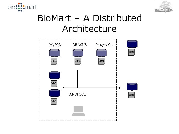 Bio. Mart – A Distributed Architecture My. SQL ORACLE Postgre. SQL XML XML XML