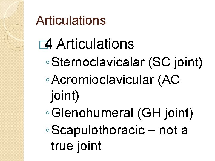 Articulations � 4 Articulations ◦ Sternoclavicalar (SC joint) ◦ Acromioclavicular (AC joint) ◦ Glenohumeral