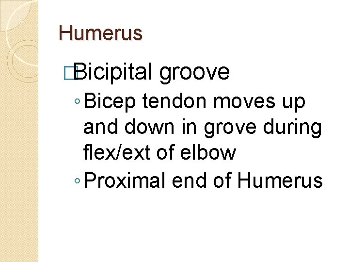 Humerus �Bicipital groove ◦ Bicep tendon moves up and down in grove during flex/ext