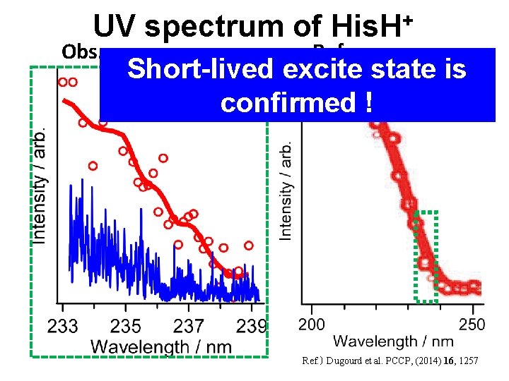 UV spectrum of His. H+ Obs. Ref. Short-lived excite state is confirmed ! Ref.