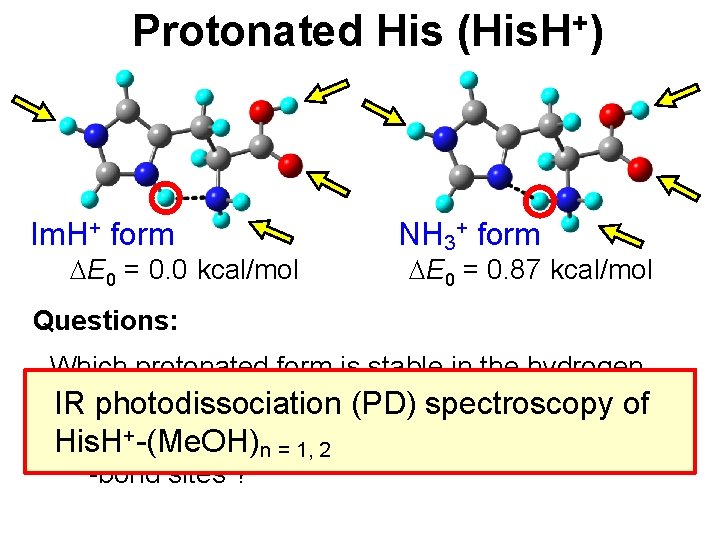 Protonated His (His. H+) Im. H+ form DE 0 = 0. 0 kcal/mol NH
