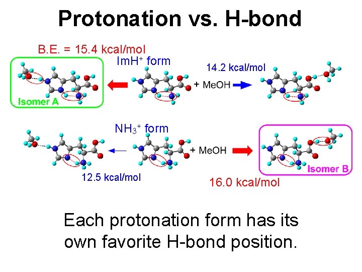 Protonation vs. H-bond B. E. = 15. 4 kcal/mol Im. H+ form 14. 2
