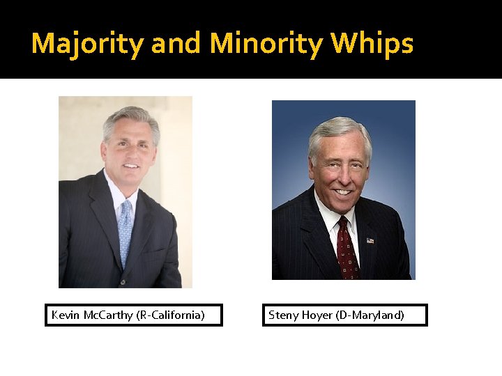 Majority and Minority Whips Kevin Mc. Carthy (R-California) Steny Hoyer (D-Maryland) 