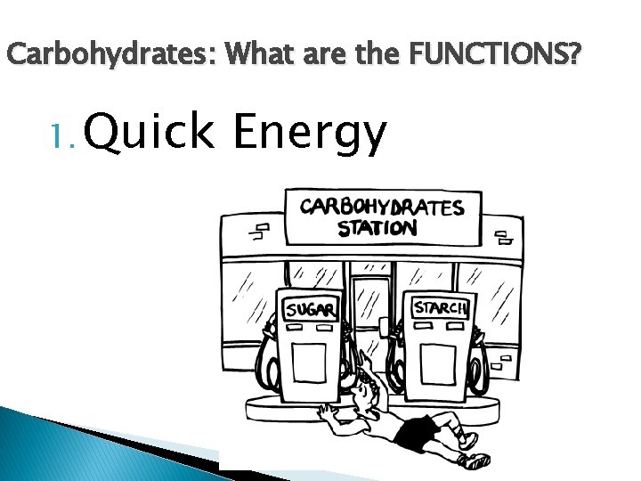 Carbohydrates: What are the FUNCTIONS? 1. Quick Energy 