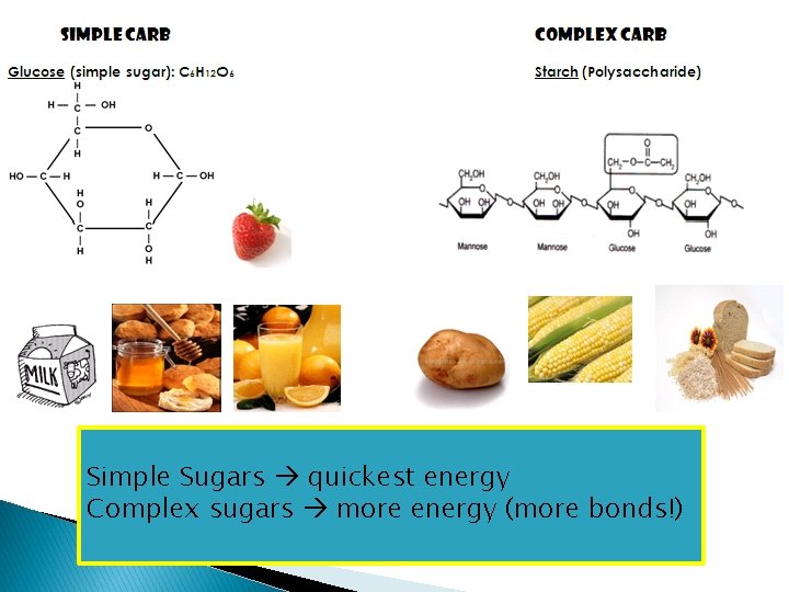 of carbohydrate Simple Which Sugarstype quickest energy will provide the Why? bonds!) Complex sugars