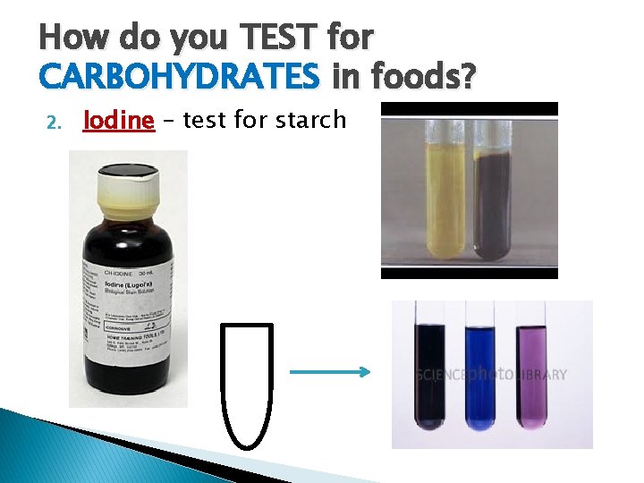 How do you TEST for CARBOHYDRATES in foods? 2. Iodine – test for starch