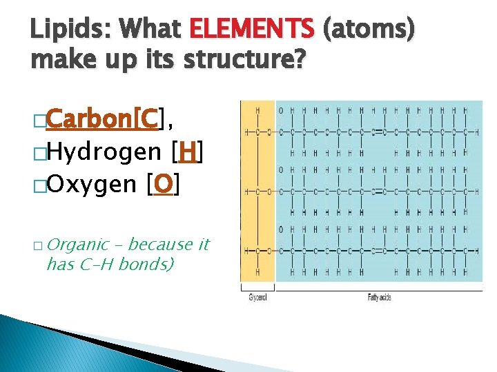 Lipids: What ELEMENTS (atoms) make up its structure? �Carbon[C], �Hydrogen [H] �Oxygen [O] �