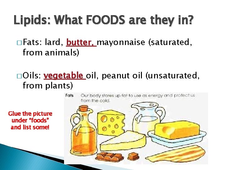 Lipids: What FOODS are they in? � Fats: lard, butter, mayonnaise (saturated, from animals)