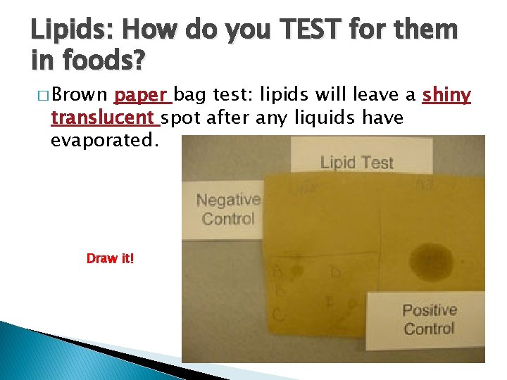 Lipids: How do you TEST for them in foods? � Brown paper bag test: