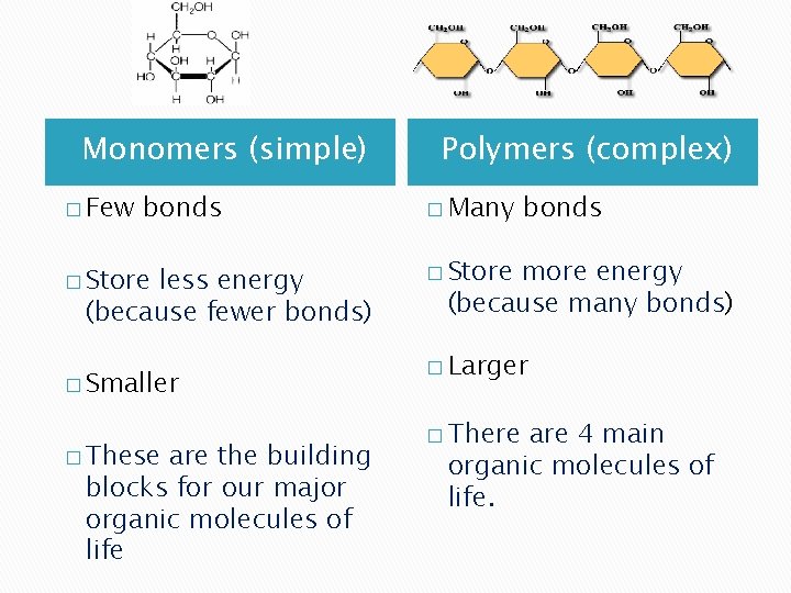 Monomers (simple) � Few bonds � Store less energy (because fewer bonds) � Smaller
